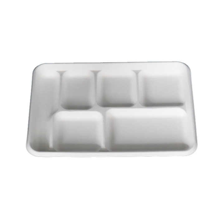 Biodegradable Sugarcane Bagasse Lunch Box