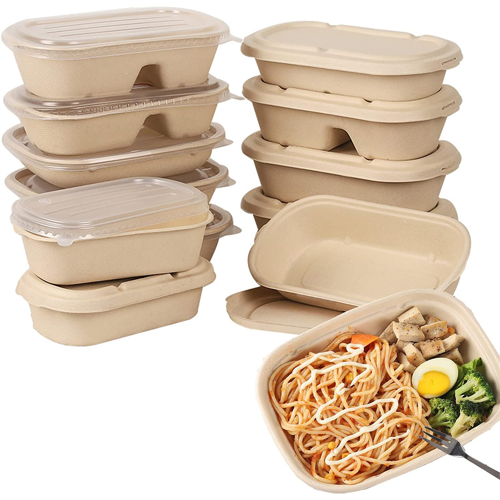 Einweg 750ml Rechteck Zuckerrohr 2-fach Lebensmittel behälter Biologisch abbaubare Bagasse-Lebensmittel box mit Deckel