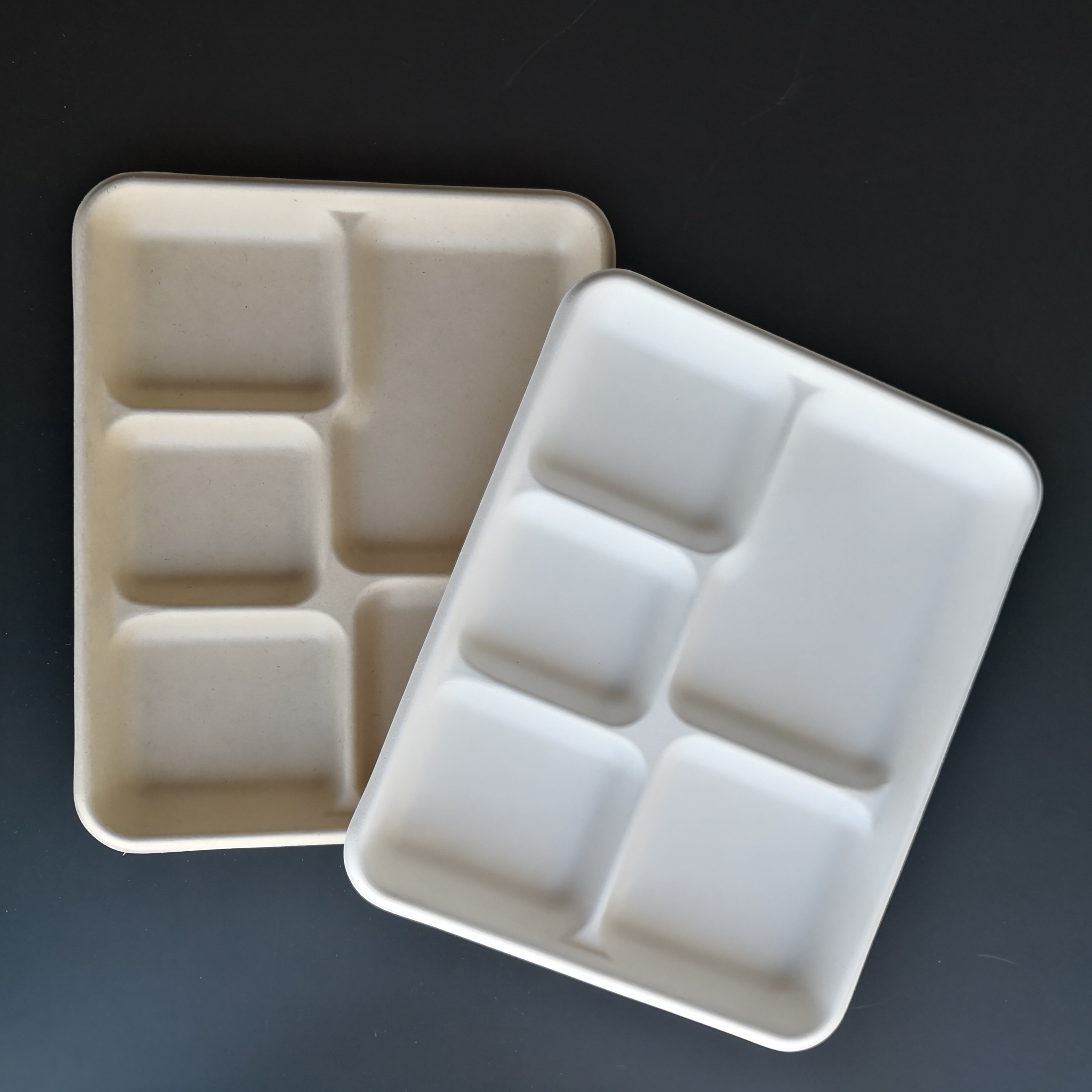 Manufacturer's Disposable 5-Compartment Sugarcane Bagasse Food Tray Well Made for Parties and Camping Safe for Refrigeration