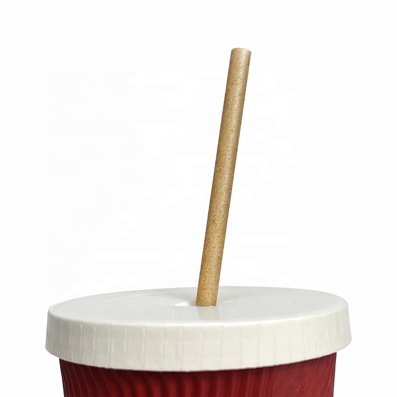Zuckerrohr strohhalme Biologisch abbaubares kunststoff freies umwelt freundliches kompost ier bares Trink-Smoothie-Zuckerrohr-Bagasse-Stroh