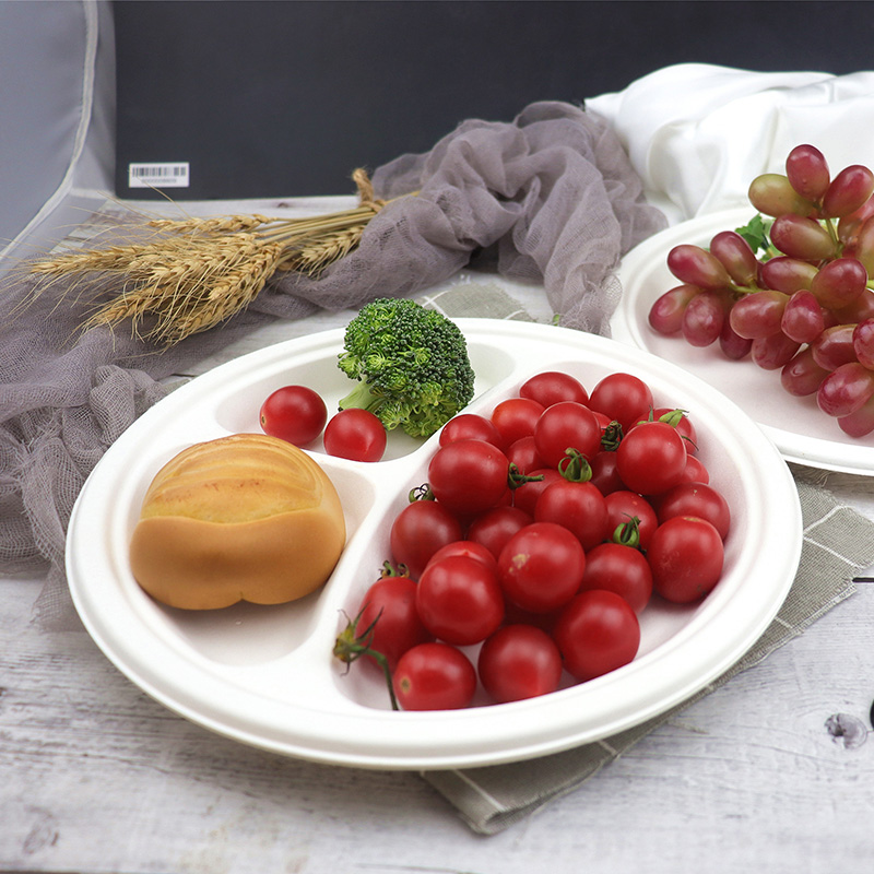 Profession elle Herstellung Umwelt freundliches 10-Zoll-Zuckerrohr-Bagasse-Geschirr mit 3 Fächern Biologisch abbaubar