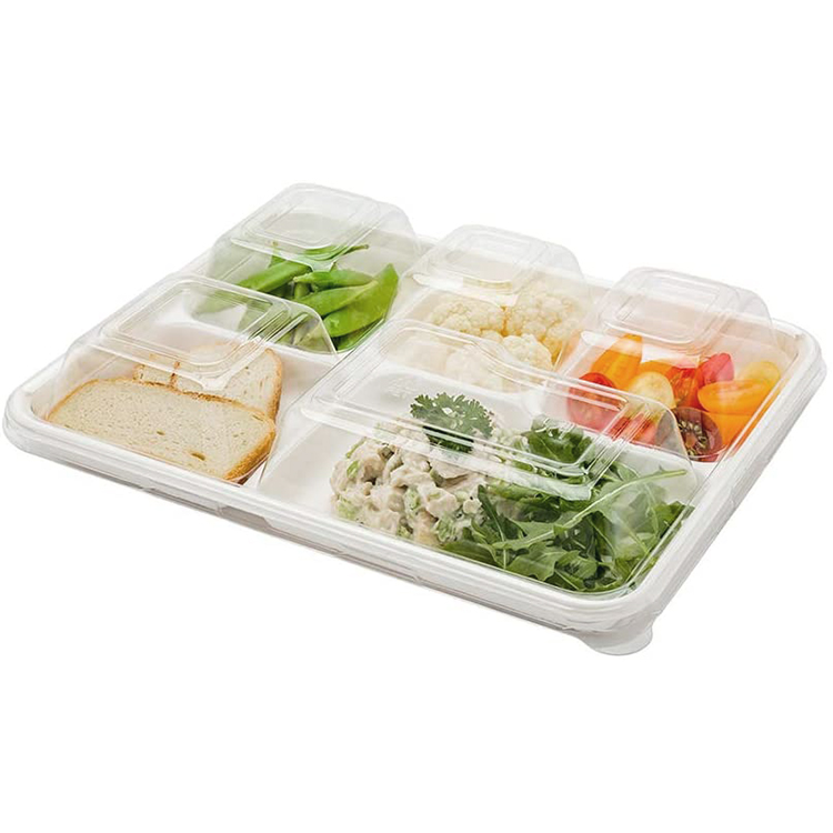 5 Fach Einweg Bagasse Tablett zum Mitnehmen Lebensmittel behälter Gemüse Mahlzeit Obst Sushi Bagasse Tablett