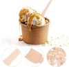 Biodegradable compost Compostable birch disposable square end Tasting spoon Yogurt spoon Ice spoon