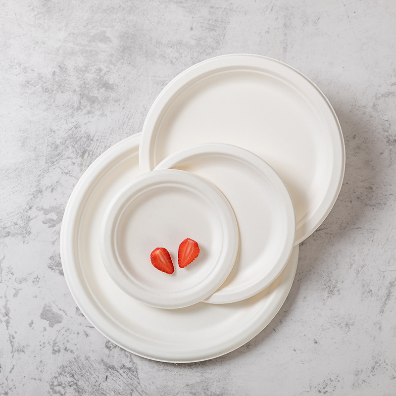 Food Degree Biodegradable Packaging Bagasse Pulp Plates