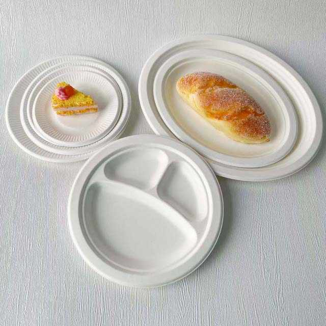  Divided Bagasse Plate White Round Fiber Plate Sugarcane Dinner Plate Food Container