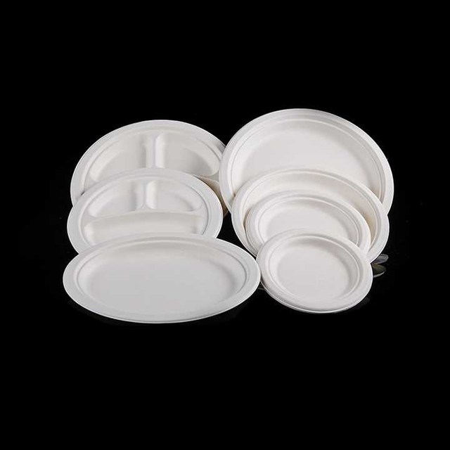100% Eco-Friendly Sugarcane Bagasse Oval Plate Tray