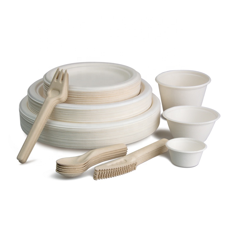Sugarcane Spoon Fork Knife Biodegradable Bagasse Pulp Disposable Cutlery for Party