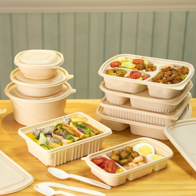Eco-Friendly Corn Starch Compartment Container Biodegradable and Natural Takeaway Food Packaging with Portable Lid