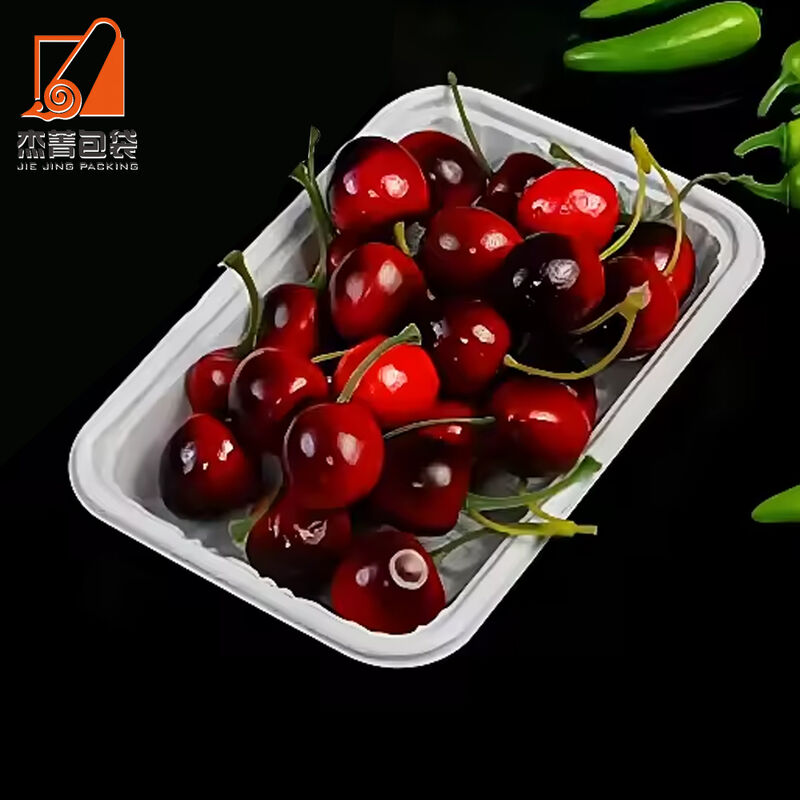 Factory Biodegradable disposable fresh fruit tray rectangular plastic food packaging Corn Starch Blister disposable