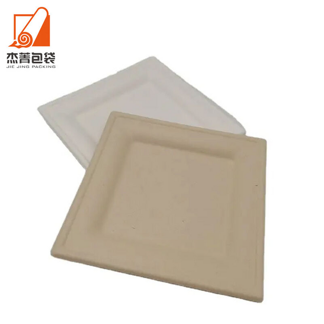 Compostable 10 Inch Bio Eco-friendly Disposable Tableware Degradable Square Bagasse Sugarcane Plate for Party Supplies