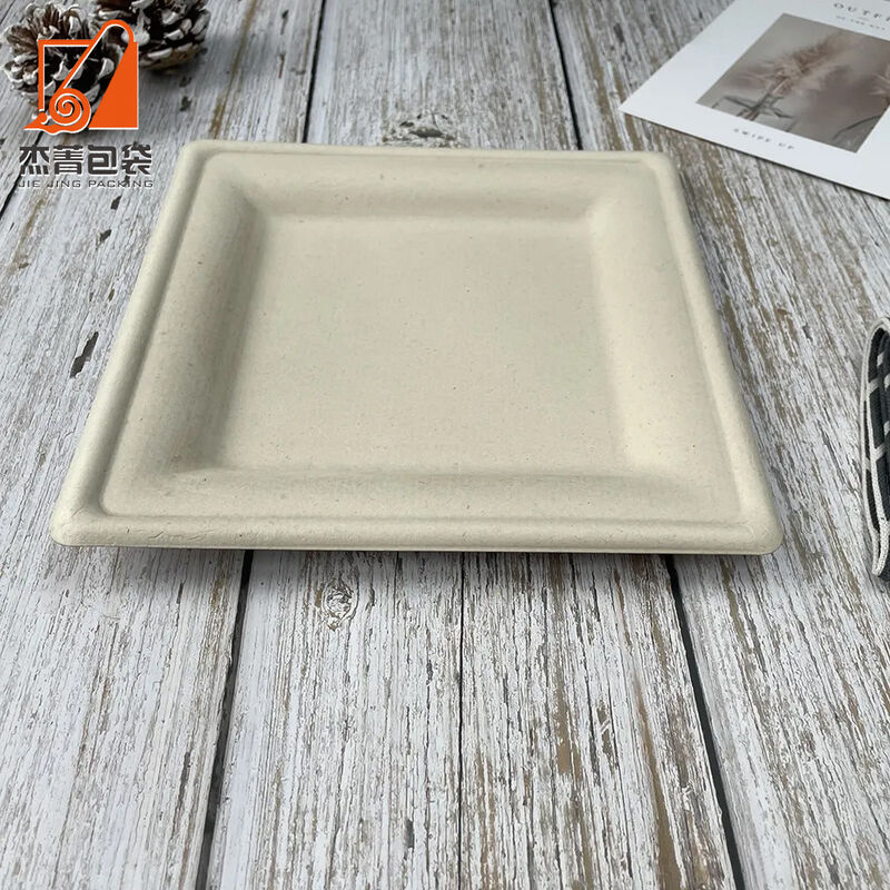 Compostable 10 Inch Bio Eco-friendly Disposable Tableware Degradable Square Bagasse Sugarcane Plate for Party Supplies