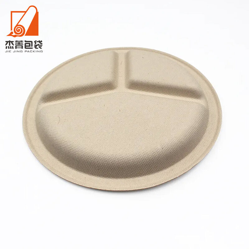 Biodegradable Disposable Sugarcane Bagasse Plate Compostable for Salad