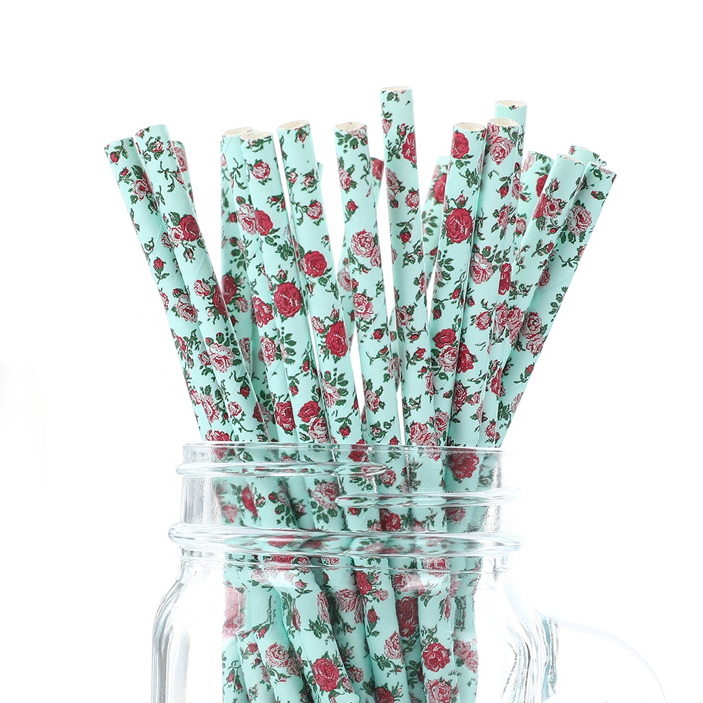 Paper Straw