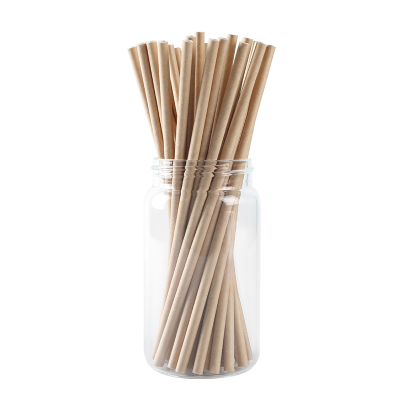 Paper Straw