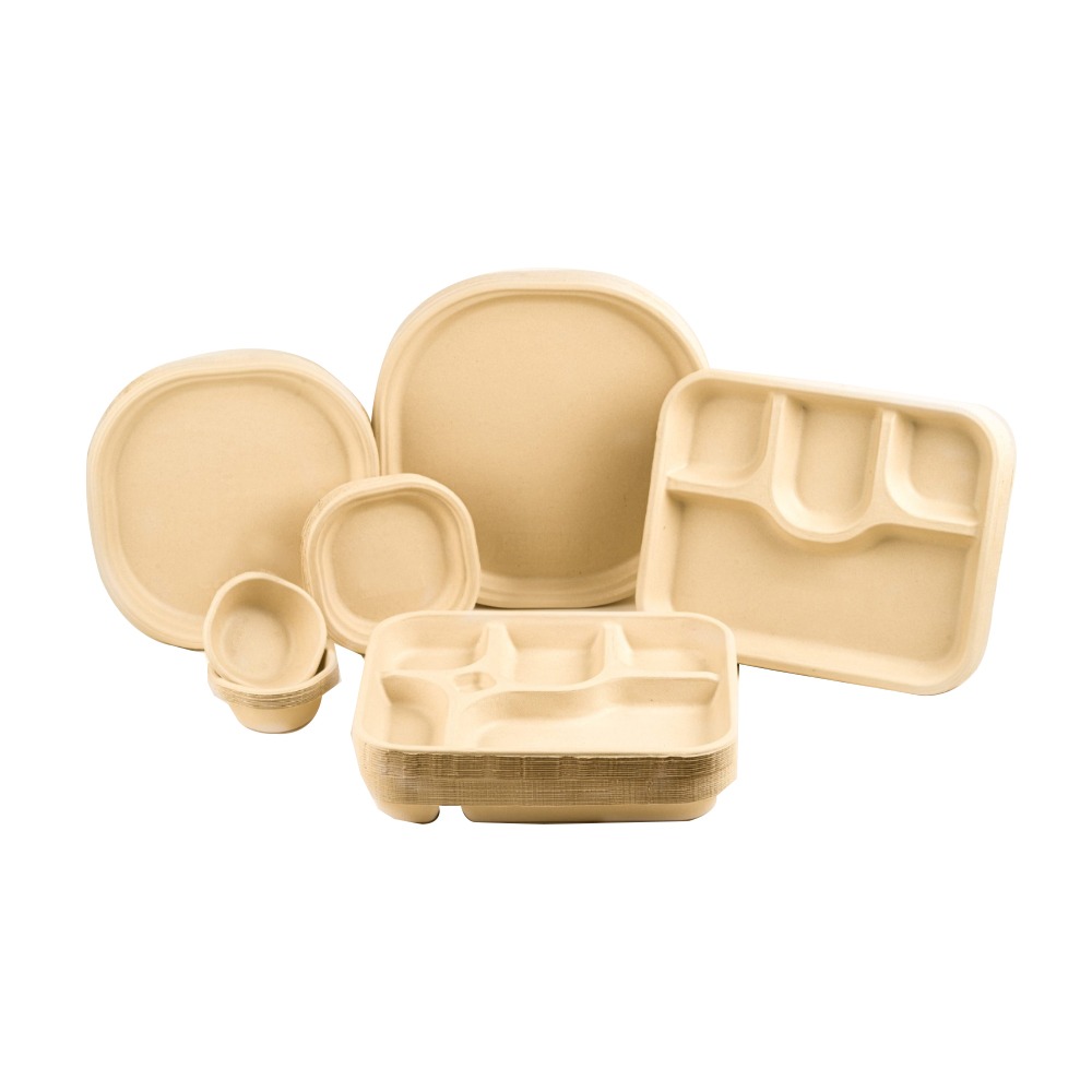 Custom Biodegradable Food Tray Sugarcane Bagasse Tableware 5 Compartment Trays Disposable Plates and Cups