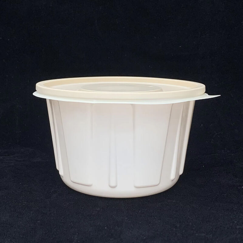 500ML Eco-Friendly Food Delivery Container Food Packaging Portable Dessert Noodle Bowl Take Out Disposable Soup Bowl