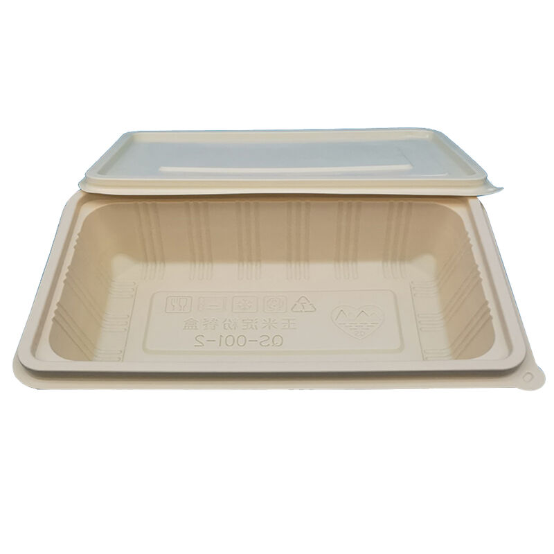 Wholesale compostable, eco-friendly and biodegradable corn starch food packing box with lid