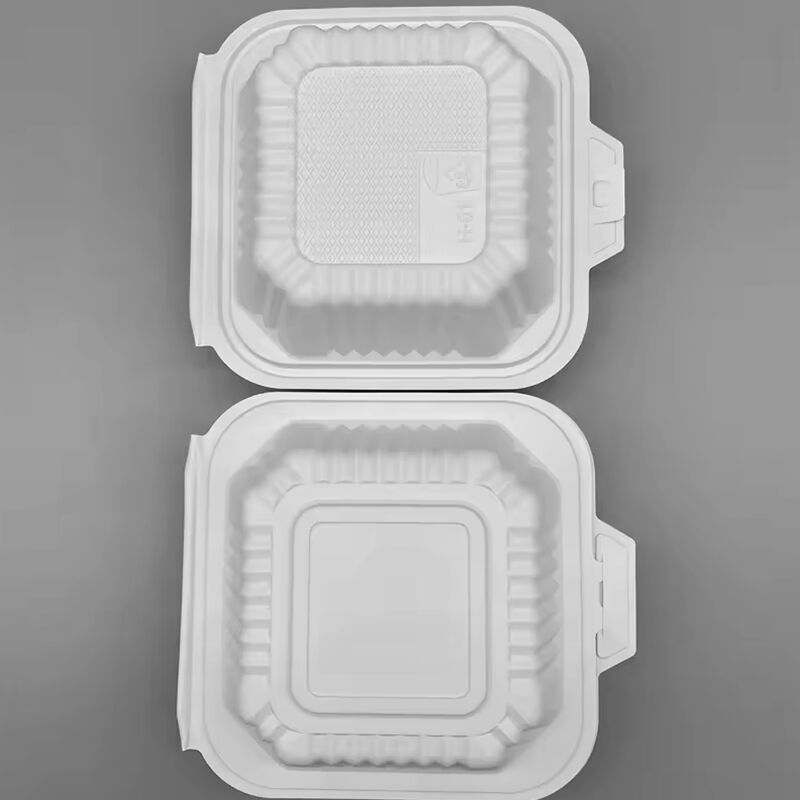 Wholesale 6 inch clamshell biodegradable container takeaway box fast food packaging