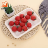 Wholesale Biodegradable Ecofriendly Food Grade Corn Starch Based BBQ Picnic Meat Trays For Outdoors Party