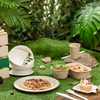 Disposable tray Eco-friendly restaurant Microwave dish Biodegradable paper plate