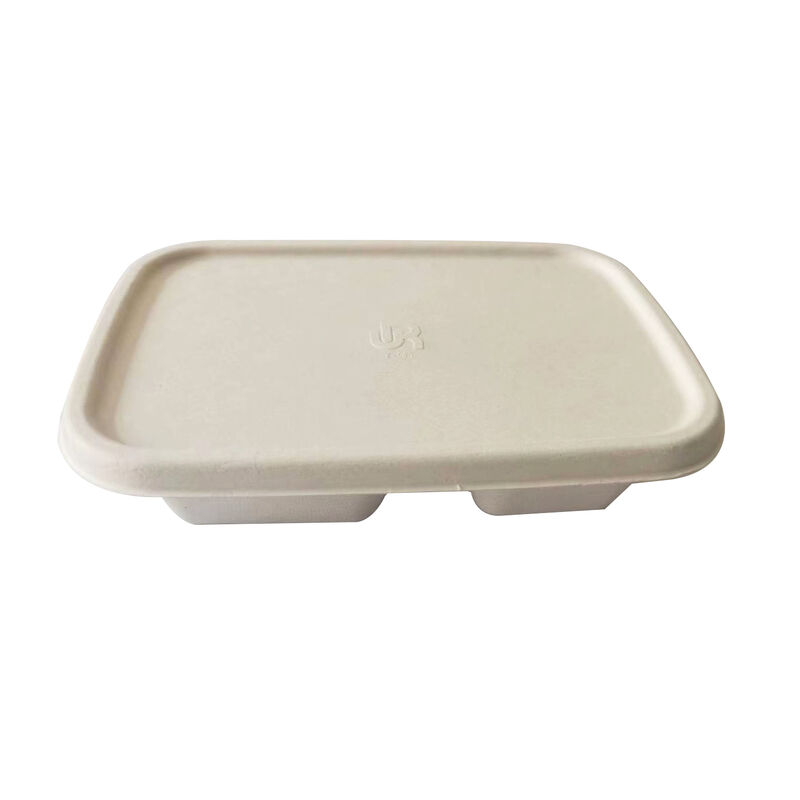 High quality Biodegradable rectangular style bagasse Sugarane meal box disposable bagasse pulp box for food