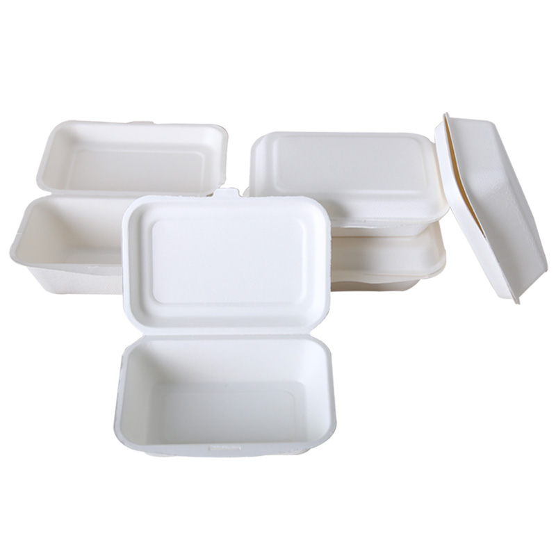 Compostable big round paper takeaway food container sugarcane bagasse pulp disposable bowls wholesale