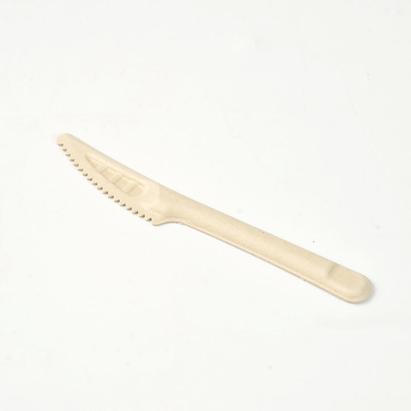 2024 Disposable corn biodegradable tableware Paper tableware corn starch tableware