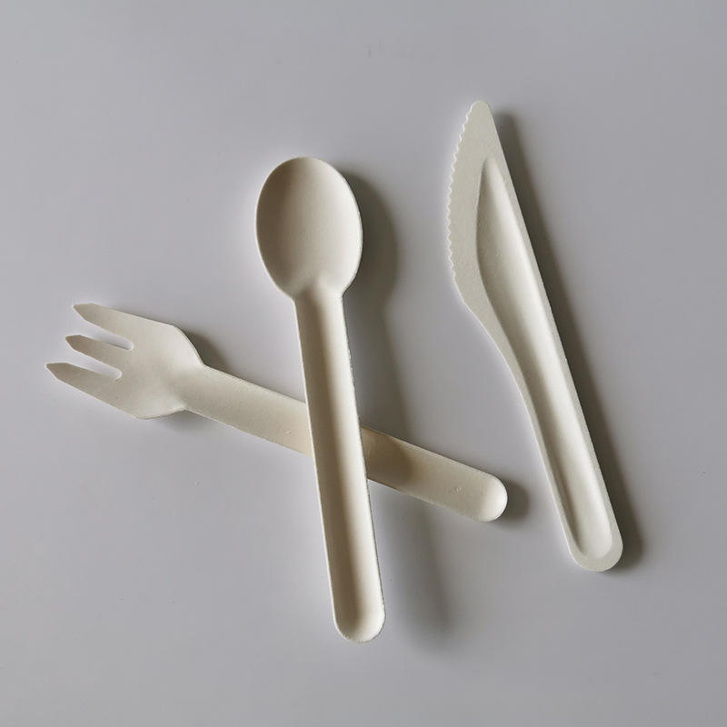 Wholesale Compostable Biodegradable Disposable Bagasse Sugarcane Pulp Cutlery Tableware Knife Fork Spoon