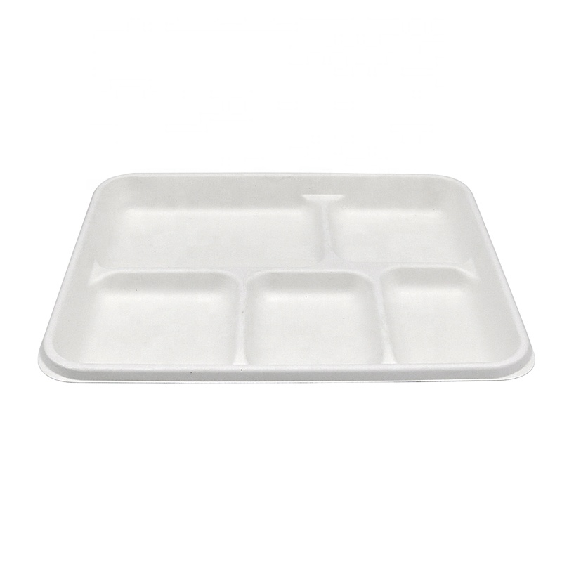Biologisch abbaubares Zuckerrohr Bagasse Einweg-Krankenhaus schule 5-Fach-Lunch-Tablett