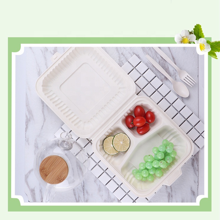 Umwelt freundliche Fire Chicken Box 3 Fach 8 Zoll Clam shell Einweg-Fast-Food-Behälter zum Mitnehmen