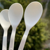 Customized Packing 100% Biodegradable PLA Ice Cream Spoon 