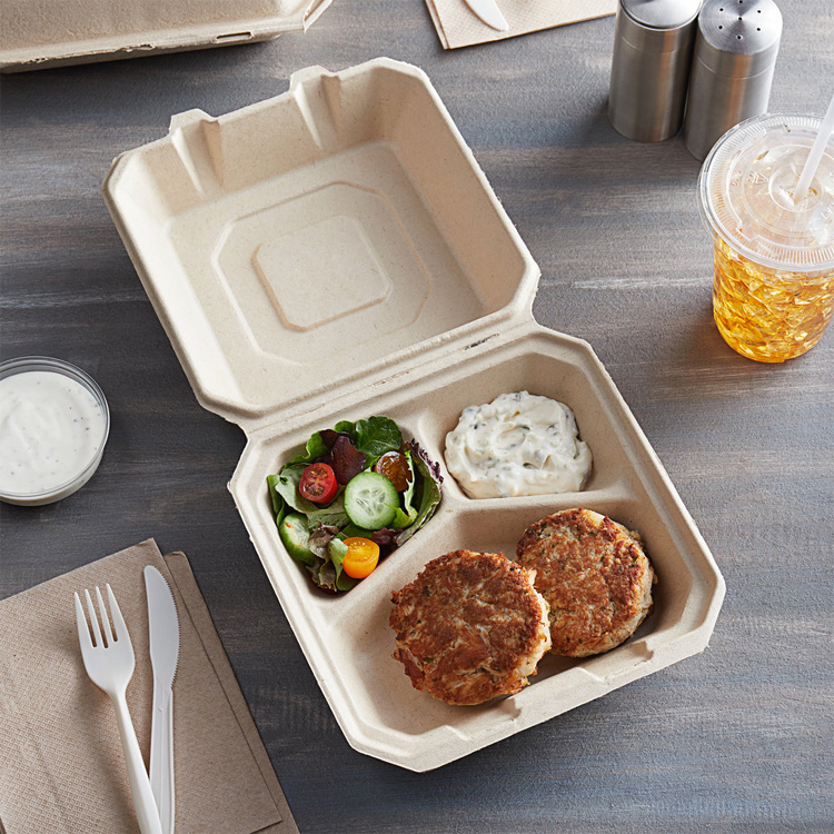 Sugar cane tableware disposable biodegradable tableware lunch box food pulp box