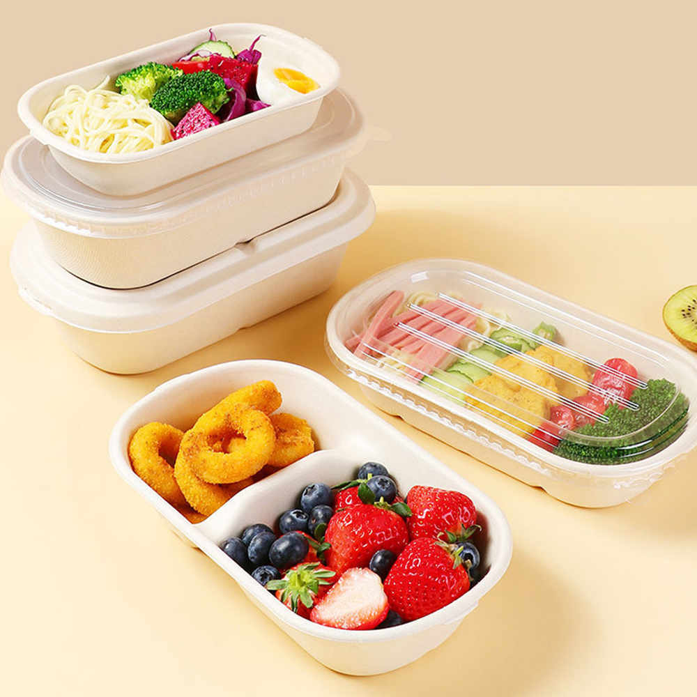 Einweg 750ml Rechteck Zuckerrohr 2-fach Lebensmittel behälter Biologisch abbaubare Bagasse-Lebensmittel box mit Deckel