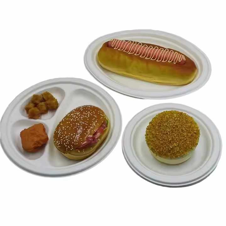 Einweg platte Biologisch abbaubares Geschirr Papier geschirr Zuckerrohr Bagasse Platte Zuckerrohr platten
