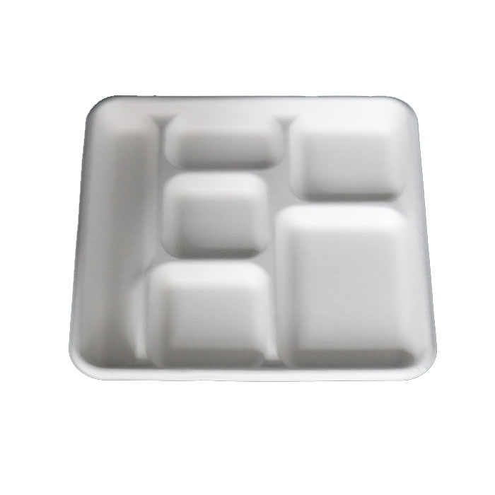 Disposable Organic Divided Paper Plates