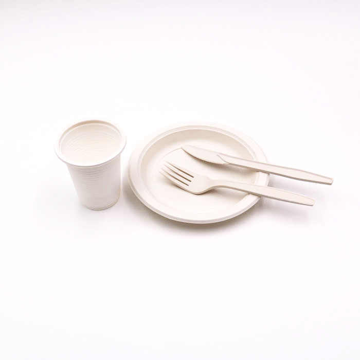 Umwelt freundliche biologisch abbaubare 3-fach Einweg-Bagasse flache natürliche braune Teller