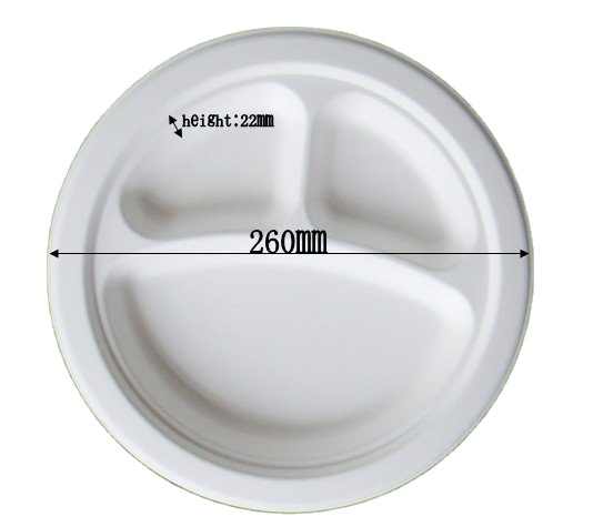 Sugarcane Water and Oil Resistant Compostable Materials Eco Friendly Disposable Biodegradable Plates