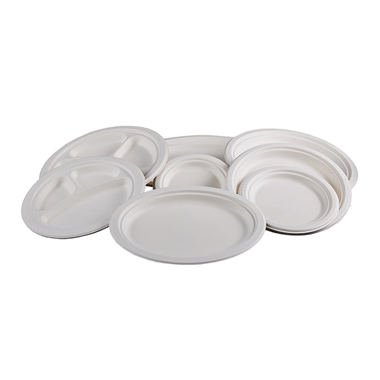 100% Eco-Friendly Sugarcane Bagasse Oval Plate Tray
