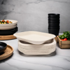 10inch Baggasse Plated Made From Sugarcane Pulp Export Quality Disposable Plates