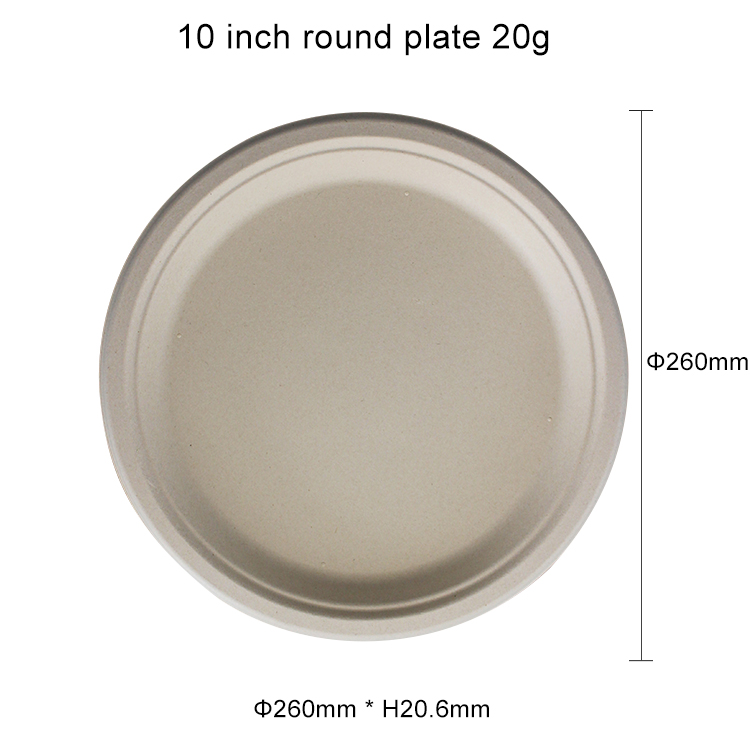 The Most Popular Baggase Disposable Plates for Party Disposable Plates and Box Plates Disposable