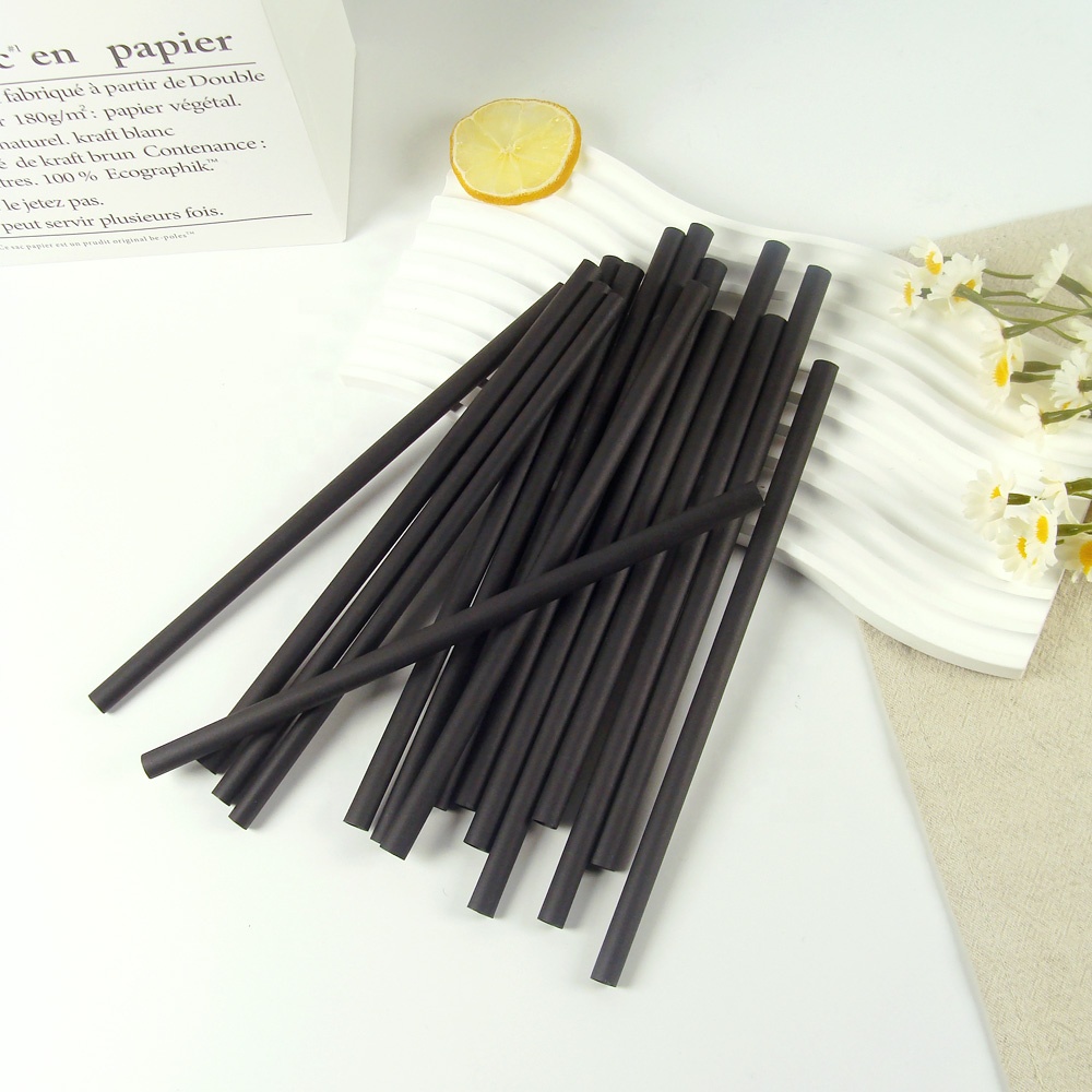 Disposable Straws Individually Wrapped PLA Drinking Straws for Party and Coffee Shop