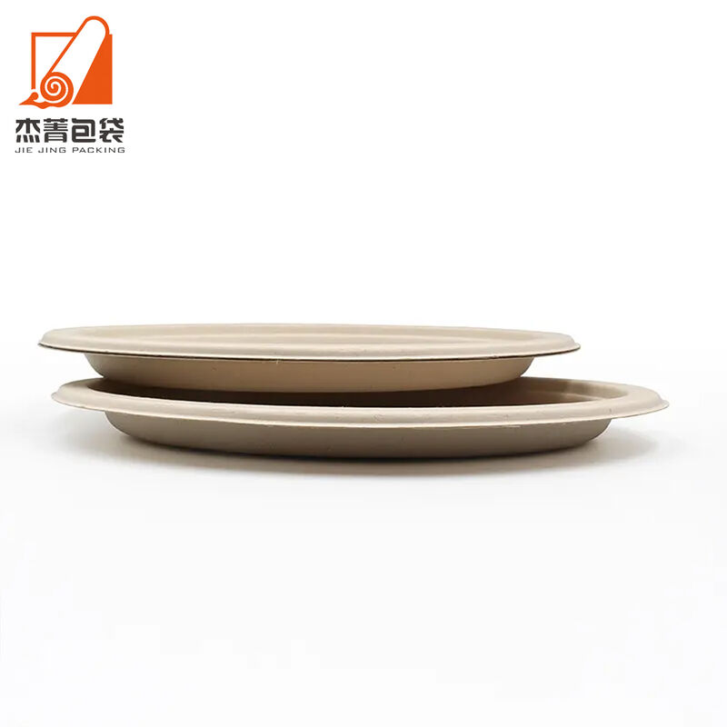 Biodegradable 10 Inches Microwavable Round Compostable Plate sugarcane bagasse paper plate for sale