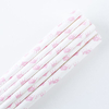 Paper Straw