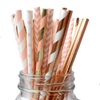Paper Straw