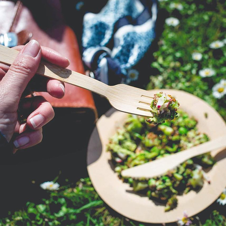 Biodegradable Disposable Eco Friendly Bamboo Fork Spoon Knife Bamboo Cutlery
