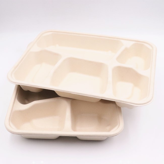 Biodegradable Disposable Compostable Takeaway Sugarcane Bagasse Tableware