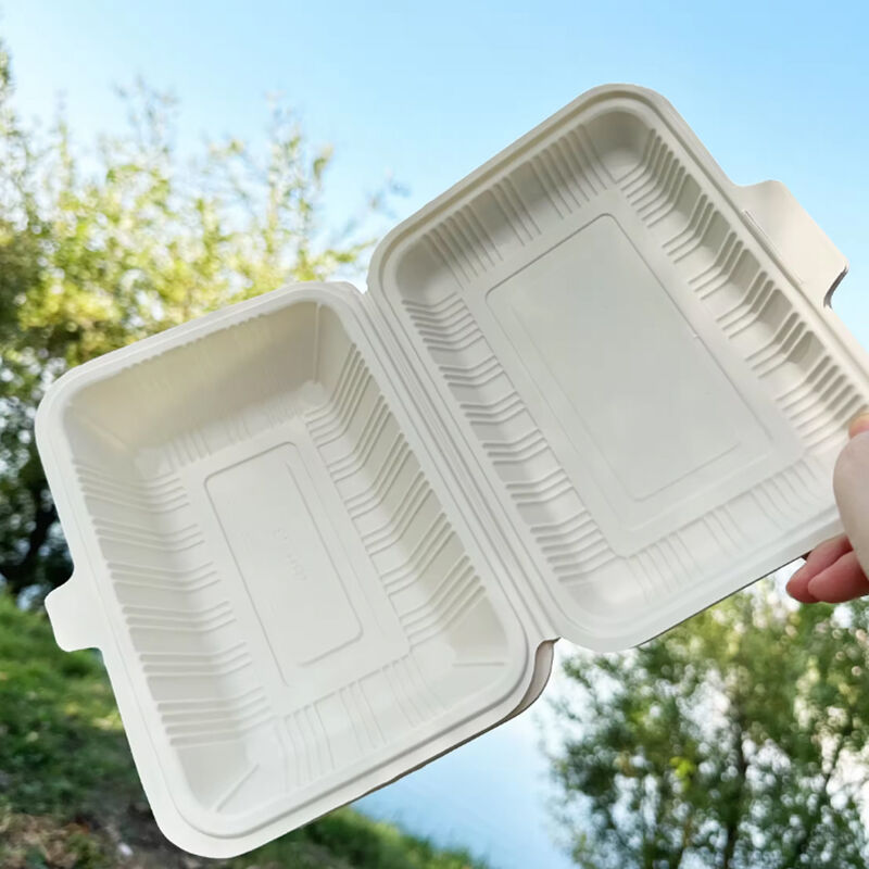 600ml disposable airtight food storage & container,disposable lunch box takeaway food,corn starch disposable lunch box