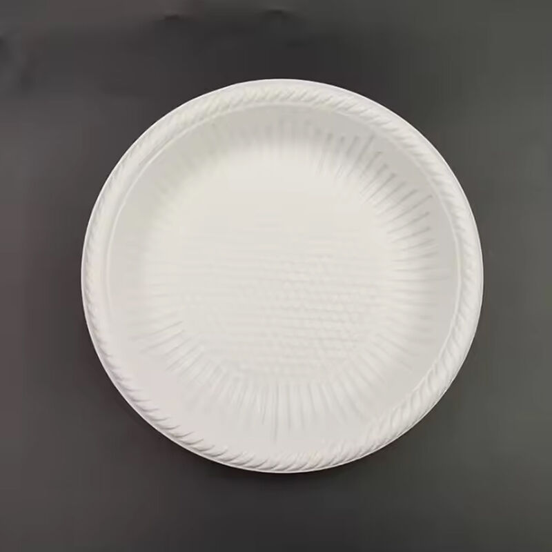 Custom LOGO 11 inch Disposable Plates for Parties Dishes Airline Tableware Dinnerware Sets