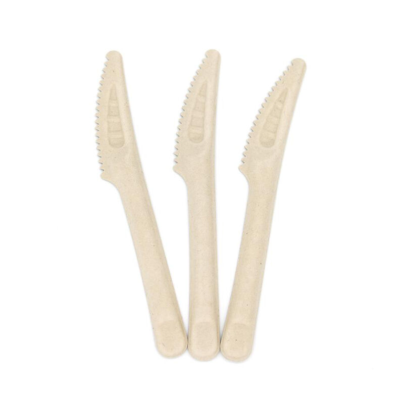 Cheap Cane syrup spoon Disposable tableware cane syrup knives forks spoons