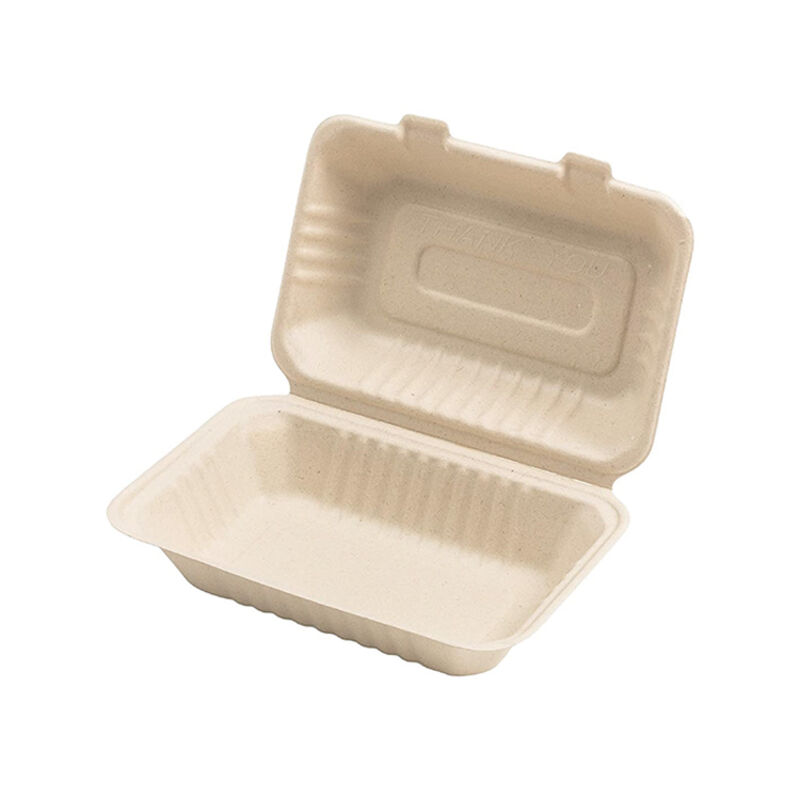 Biodegradable containers biodegradable compostable recyclable eco-friendly food cartons Disposable food containers